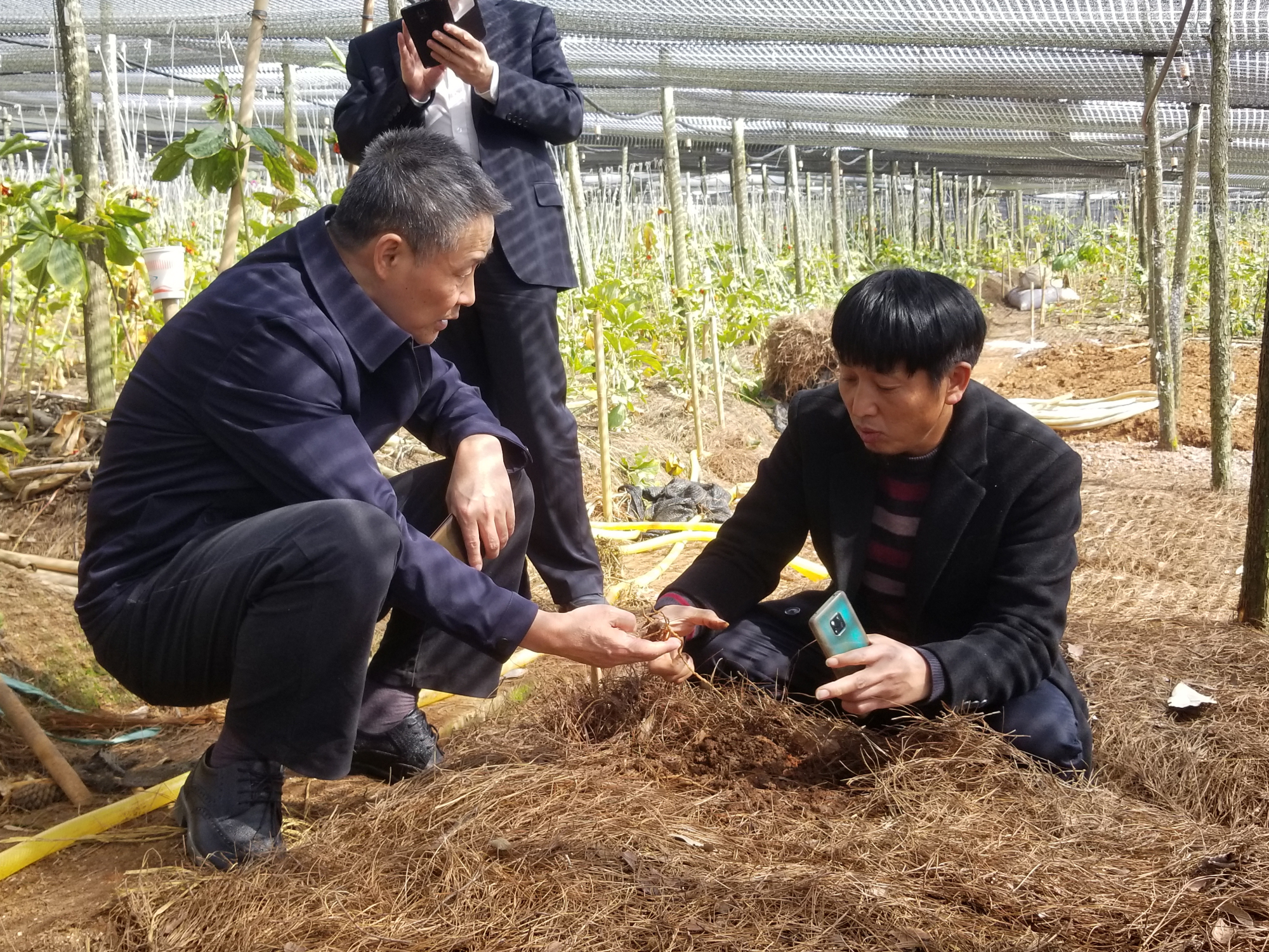 B928BEA29D534635E13467CCF43_5DC2C168_29953D.jpg?e= 首页| J9集团国际站官方网站